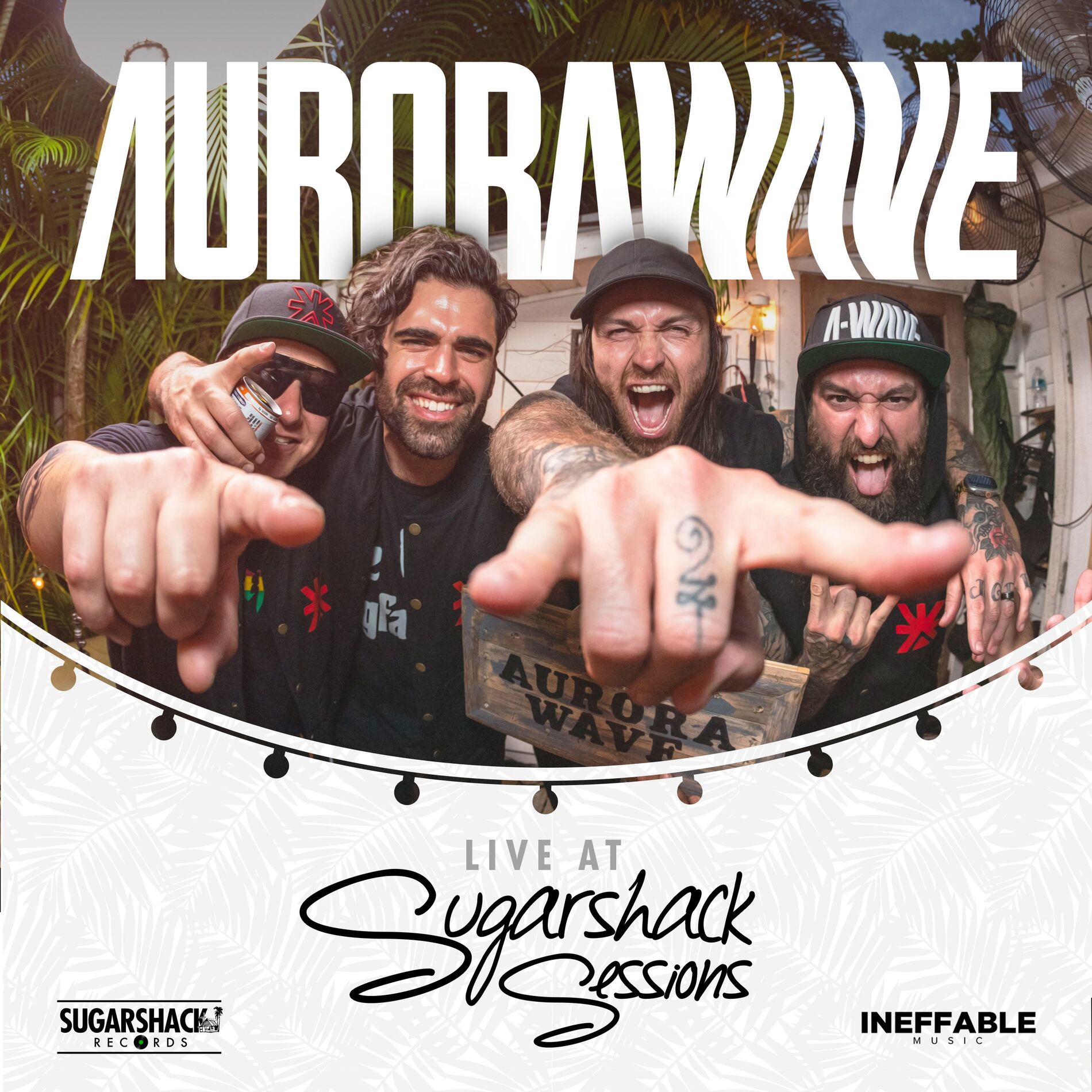 Aurora Wave - Performance Photo 1